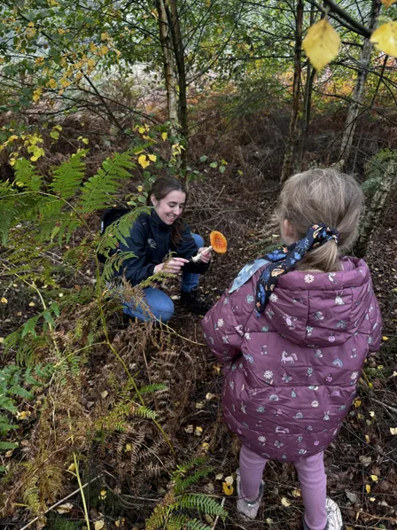 Fungi Walk