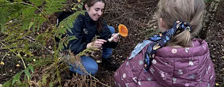 Fungi Walk