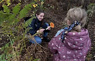 Fungi Walk