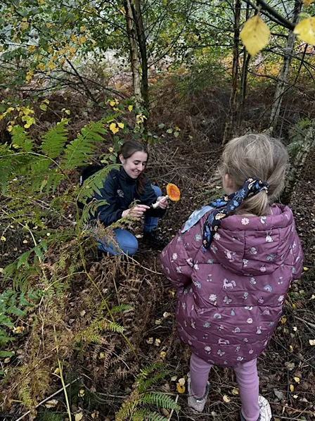 Fungi Walk