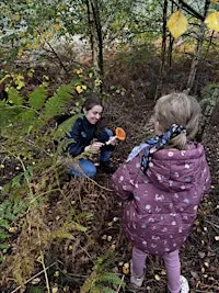 Fungi Walk