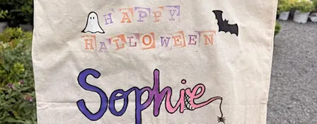 Adult & Child - DIY Trick or Treat Bag