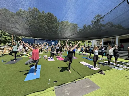 Mimosa Yoga at Lazy Creek Taphouse