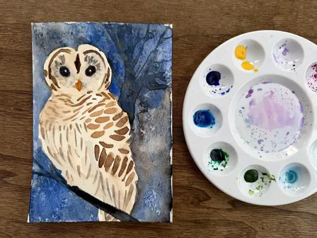 Barred Owl in Watercolor