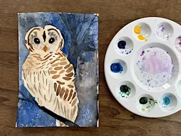 Barred Owl in Watercolor