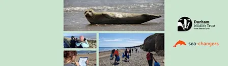 Sea Rangers: Habitat management / bird survey
