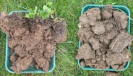 Soils & Cultivations: Adapting to the current market and weather challenges