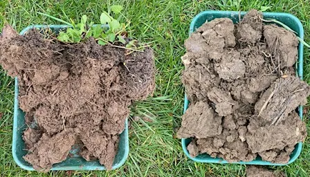 Soils & Cultivations: Adapting to the current market and weather challenges