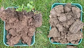 Soils & Cultivations: Adapting to the current market and weather challenges