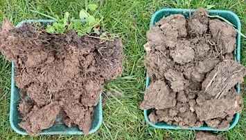 Soils & Cultivations: Adapting to the current market and weather challenges