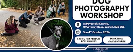 Dog Photography Workshop 2026