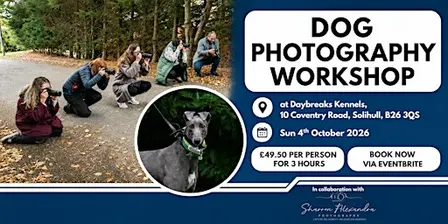 Dog Photography Workshop 2026