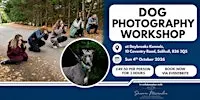Dog Photography Workshop 2026