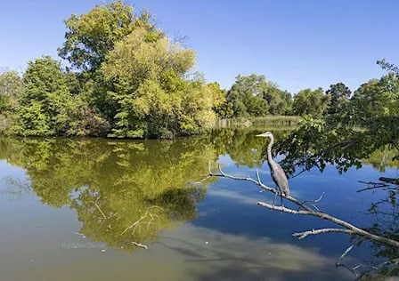 The Natural History of Washington Park