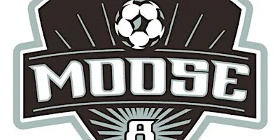 The 13th Annual Josh Thibodeau 4 v 4 Soccer Tournament