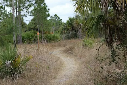 Guided Walk: CREW Flint Pen Strand Trails (Orange Trail)