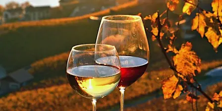 Guided Wine Dinner Experience with Donnafugata