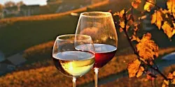 Guided Wine Dinner Experience with Donnafugata