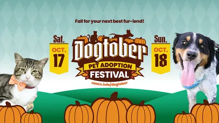 Dogtober Pet Adoption & Fall Festival 2026