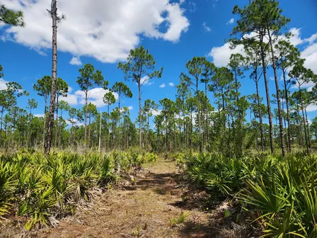 Guided Walk: CREW Marsh Trails (Orange Trail)