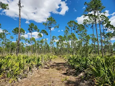 Guided Walk: CREW Marsh Trails (Orange Trail)