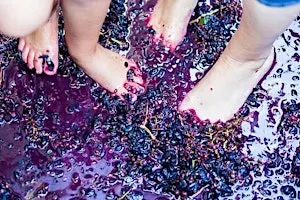 WWE Illinois: Winery Grape Stomp