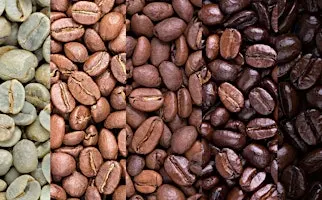 From Bean To Brew