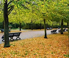 Sunday Stroll at Regent’s Park
