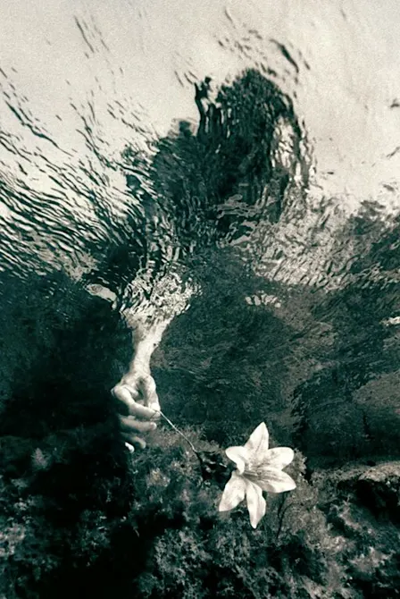 Water Bearer's Dream