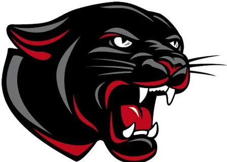 Central Panther Club Auction