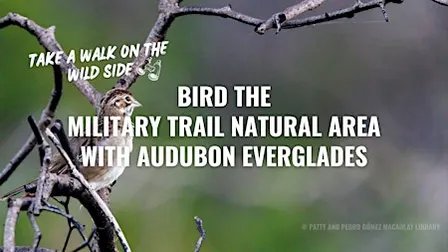 Military Trail Natural Area Bird Walk