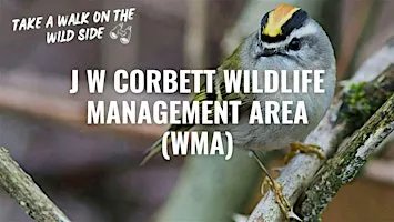 Take a Walk on the Wild Side at J W Corbett Wildlife Management Area