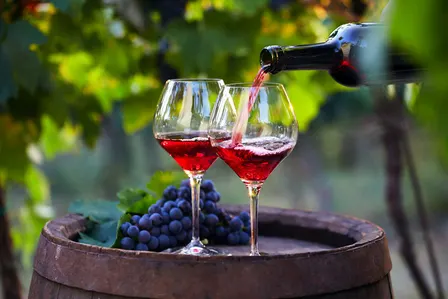 Wine Fest Trip