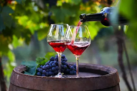Wine Fest Trip