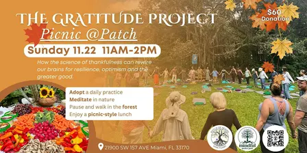 The Gratitude Project Picnic @Patch | Nurture Yourself in Nature