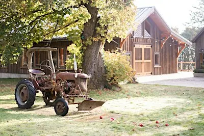 Harvest Market at Bilston Creek Farm