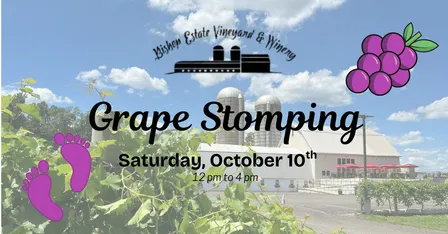 Grape Stomping at Bishop Estate Vineyard & Winery