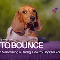Back to Bounce: Develop & Maintain a Strong, Healthy Back for Your Dog