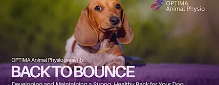 Back to Bounce: Develop & Maintain a Strong, Healthy Back for Your Dog