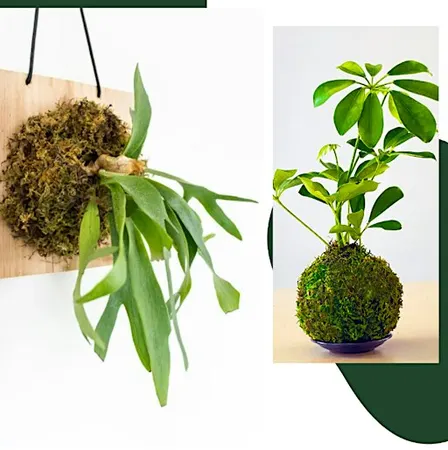 Living Plant Art | The Mash Greenwich