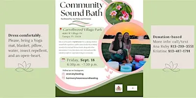 Sunset Community Sound Bath at the Carrollwood Village Park
