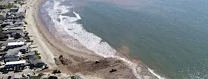 BeachSMART Community Conversations for Ash Ave Beach