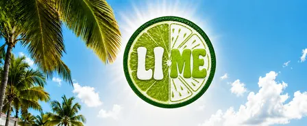 THE ULTIMATE LIME