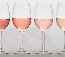 Rosé S’il Vous Plaît!