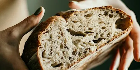 Sourdough 101 Workshop – From starter to slice