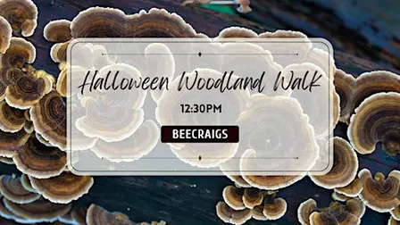 Halloween Fungi Forage