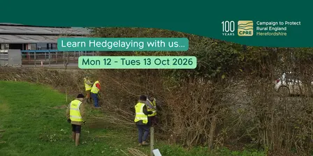 Hedgelaying 2-day course in North Herefordshire 12-13 Oct