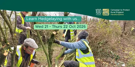 Hedgelaying 2-day course in North Herefordshire 21-22 Oct