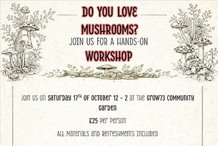 Mushroom Workshop