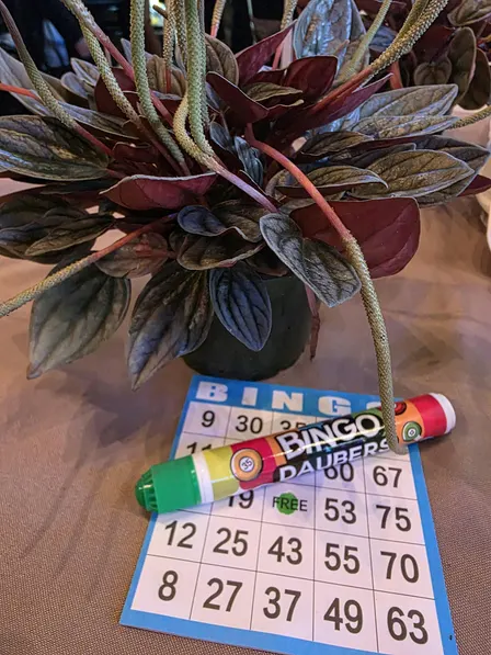 Chelle's Pours & Plant Bingo